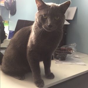 Meet your Posher, Jeannette